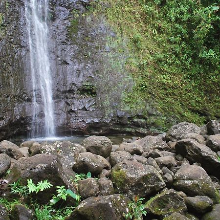 Вилла Delightful Hawaiian Monarch Studio Гонолулу Экстерьер фото