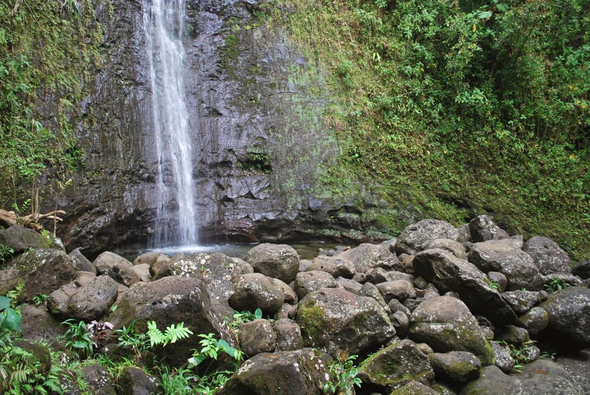 Вилла Delightful Hawaiian Monarch Studio Гонолулу Экстерьер фото